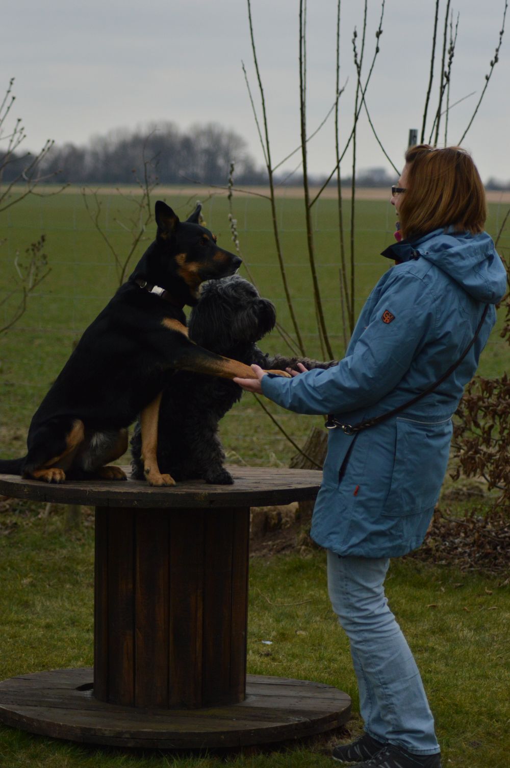 Hundeschule Hannover